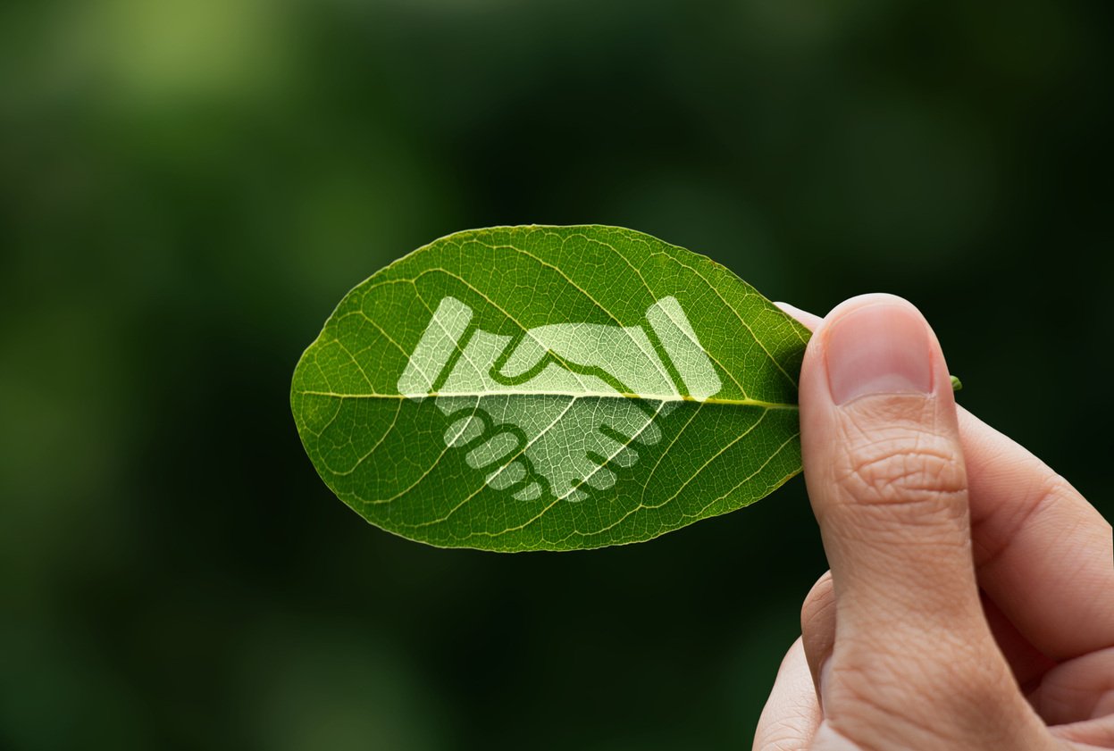 https://www.alphaprecisionpm.com/hubfs/iStock-1671131571%20%281%29.jpg